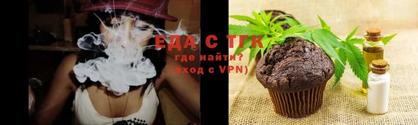 индика Абинск