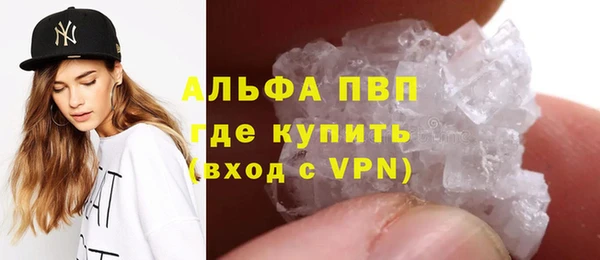индика Абинск