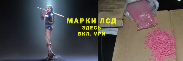 твердый Абаза