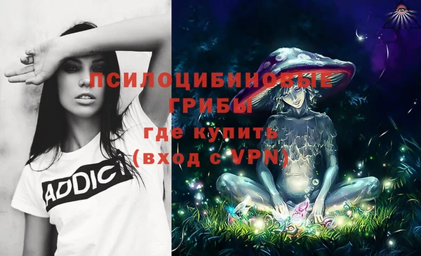 индика Яровое