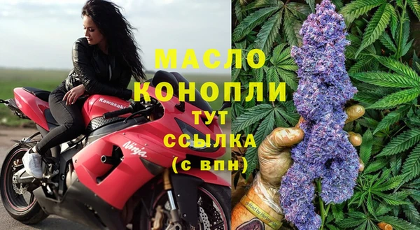 индика Абинск