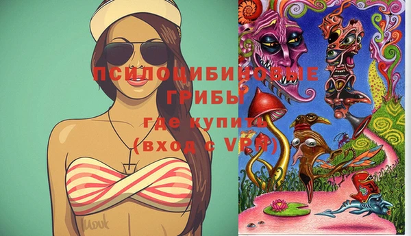 твердый Абаза