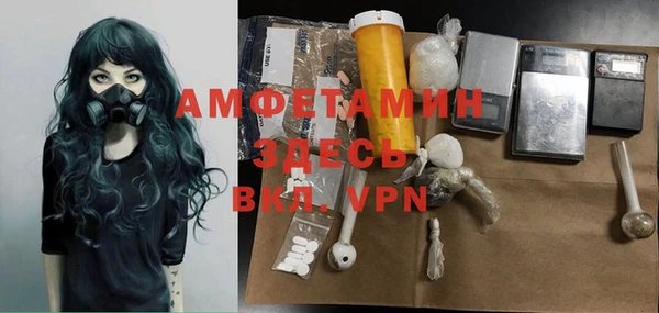 индика Абинск