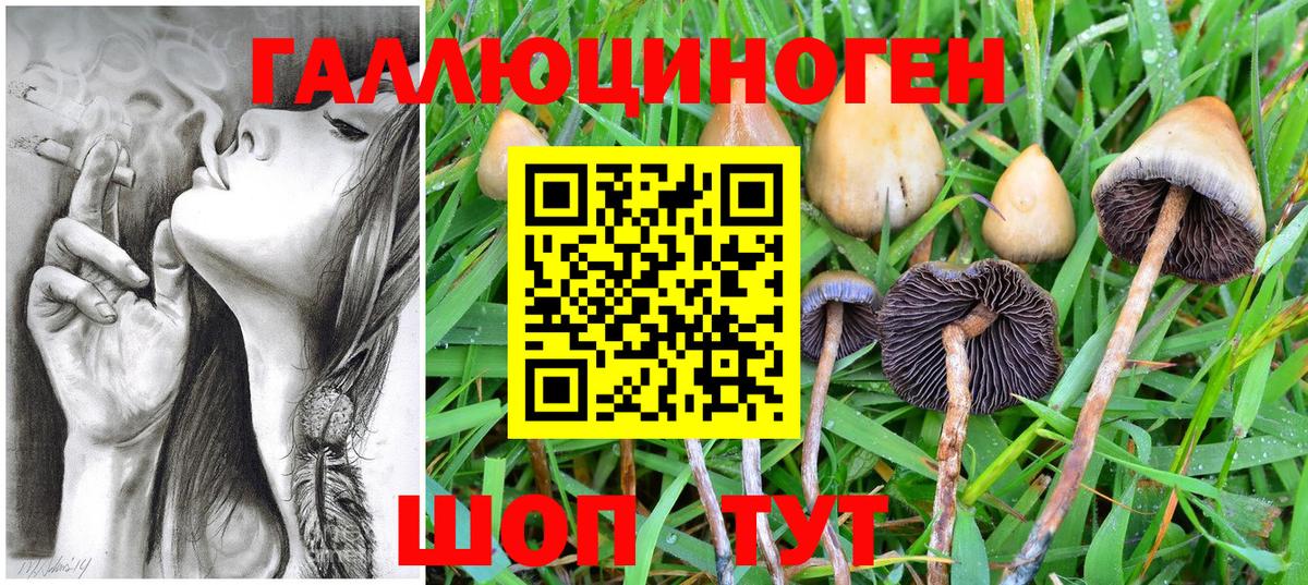 Шахты  Псилоцибиновые грибы прущие грибы  Вход с VPN 
