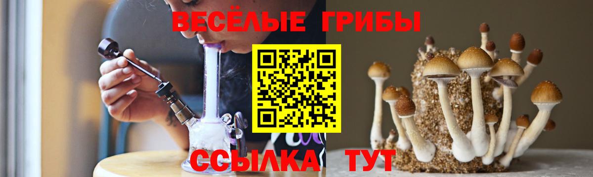 Галлюциногенные грибы MAGIC MUSHROOMS Шахты